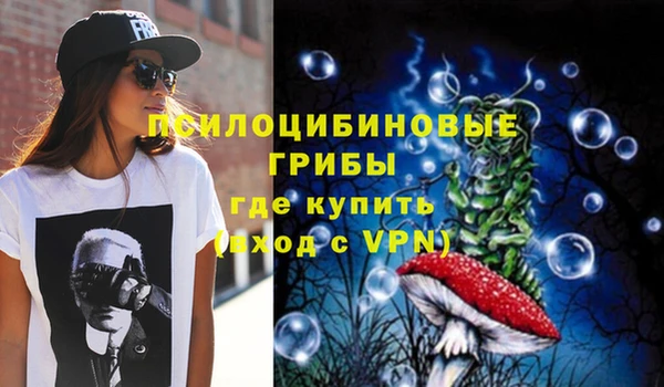 PSILOCYBIN Карталы