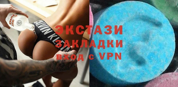 индика Кинешма