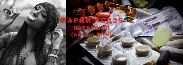 ГАЛЛЮЦИНОГЕННЫЕ ГРИБЫ Наволоки