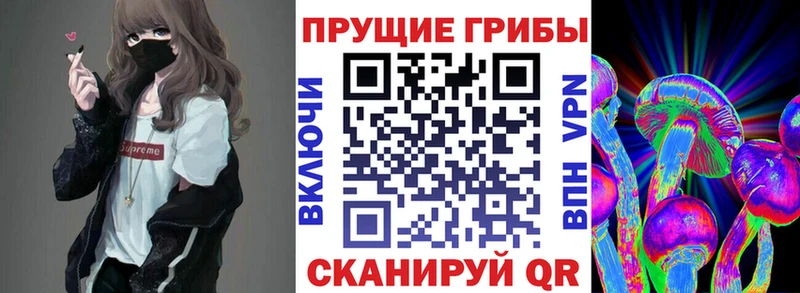 Псилоцибиновые грибы ЛСД  Баксан 
