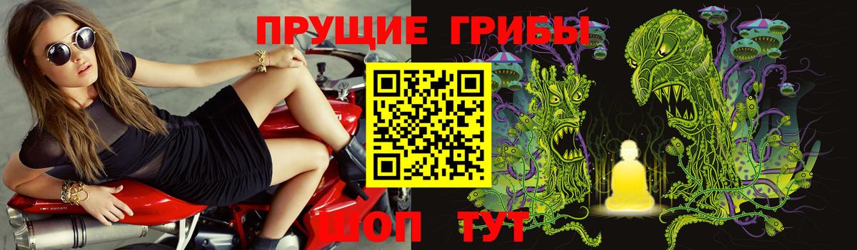 Псилоцибиновые грибы Psilocybine cubensis Баксан
